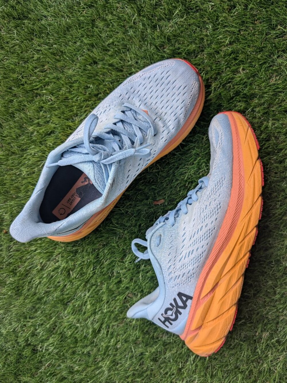 HOKA Clifton Wmn's 8B